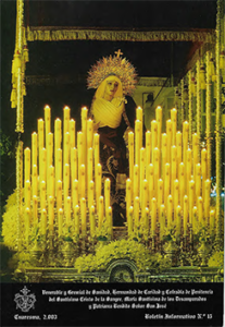 Boletín Año 2003